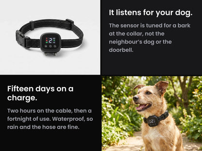 NooBark Anti-Bark Collar